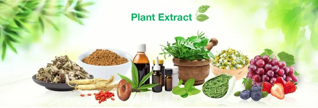 E. K Herb Plant Extract Factory Best Selling Food Grade 100% Pure Natural Grapefruit Extract Naringin Powder Bioflavonoids Hesperidin Citrus Extract