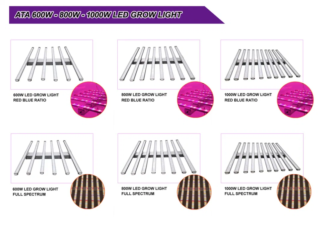 50W/75W/80W/100W/150W/300W/400W/450W/500W/600W/650W/700W/800W/900W/1000W/1200W/1500W Veg/Flowering Switches Full Spectrum COB/SMD LED Grow Lights